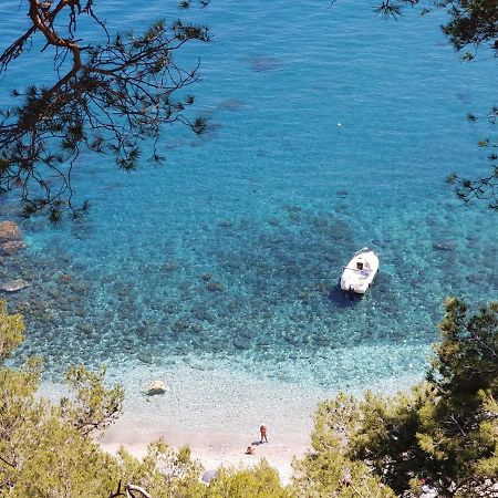 "L'Hippocampe", Climatise, 60 M2 , 2 Chambres, Tres Calme, Plage Des Sablettes Et Commerces A 3 Minutes A Pied, Wifi, Parking Gratuit, Lit King Size La Seyne-sur-Mer Buitenkant foto