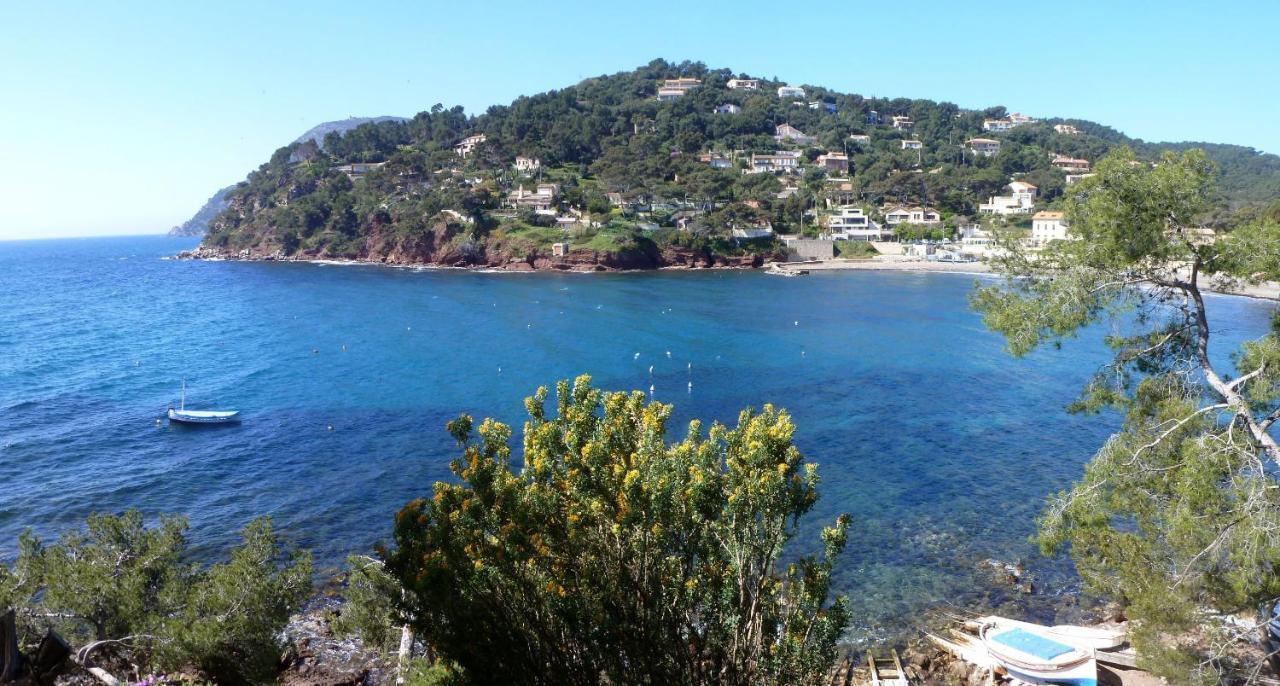 "L'Hippocampe", Climatise, 60 M2 , 2 Chambres, Tres Calme, Plage Des Sablettes Et Commerces A 3 Minutes A Pied, Wifi, Parking Gratuit, Lit King Size La Seyne-sur-Mer Buitenkant foto